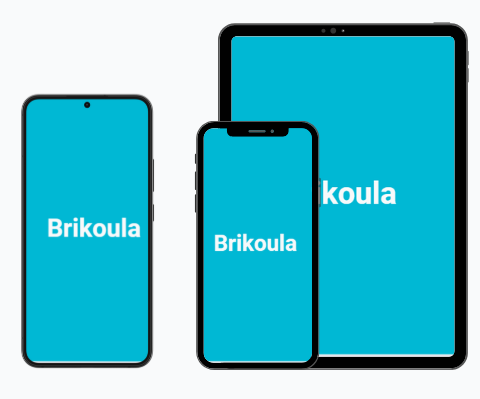Brikoula app mobile preview